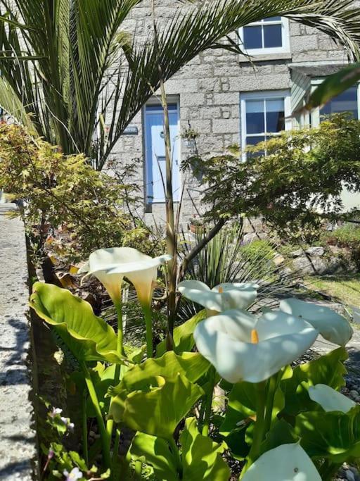 Corvus - Beautiful Cottage Half A Mile From Mousehole เพนแซนซ์ ภายนอก รูปภาพ