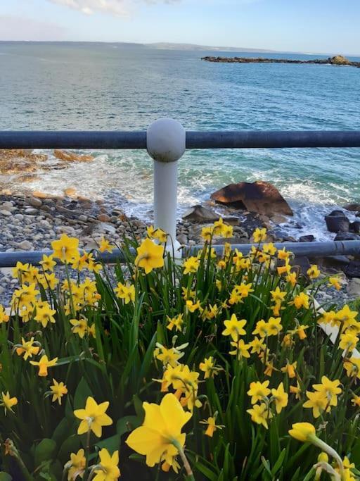 Corvus - Beautiful Cottage Half A Mile From Mousehole เพนแซนซ์ ภายนอก รูปภาพ